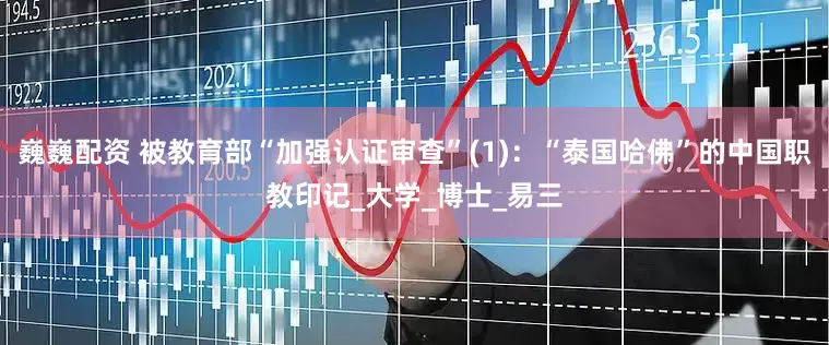 巍巍配资 被教育部“加强认证审查”(1)：“泰国哈佛”的中国职教印记_大学_博士_易三