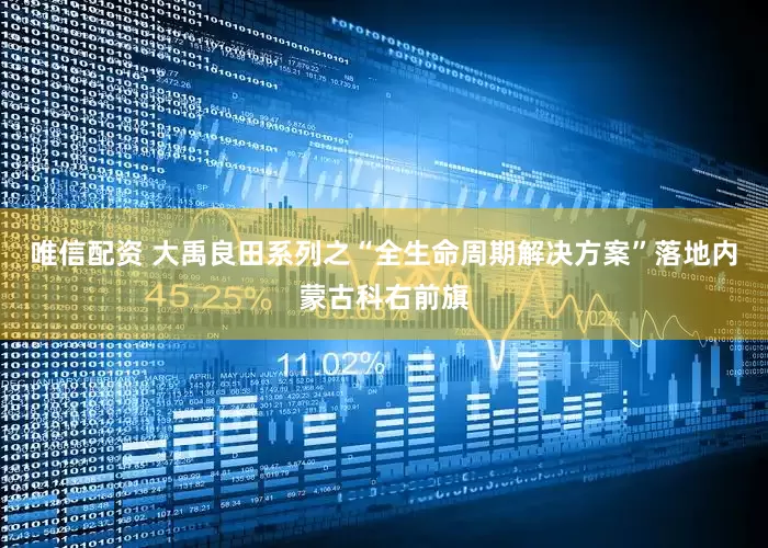 唯信配资 大禹良田系列之“全生命周期解决方案”落地内蒙古科右前旗
