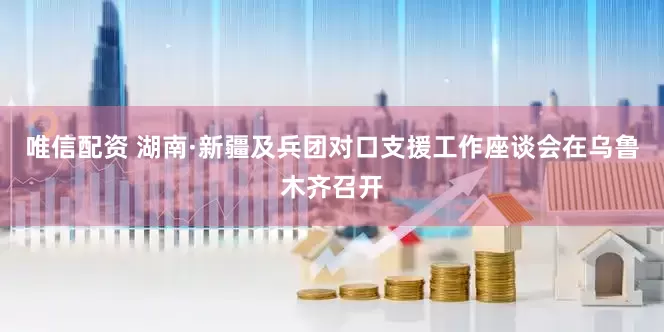唯信配资 湖南·新疆及兵团对口支援工作座谈会在乌鲁木齐召开