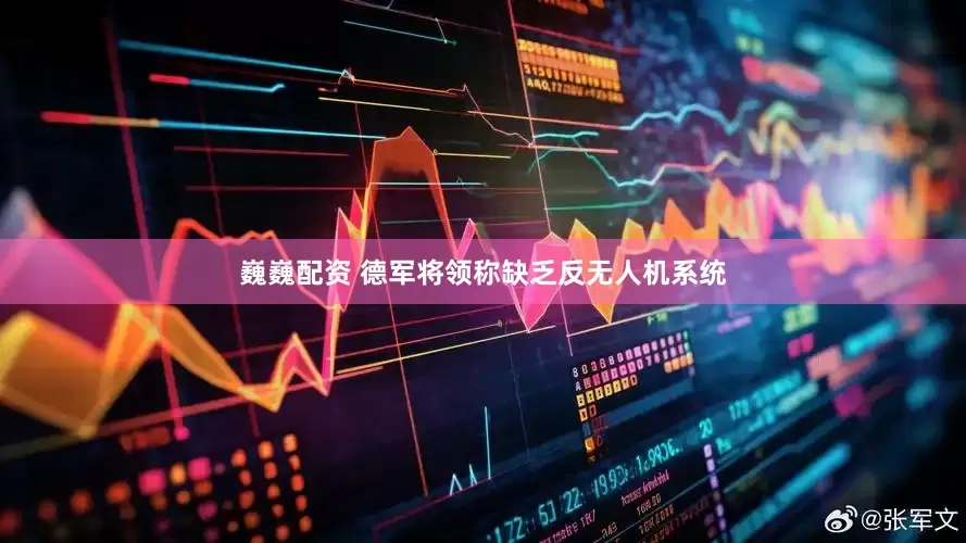 巍巍配资 德军将领称缺乏反无人机系统