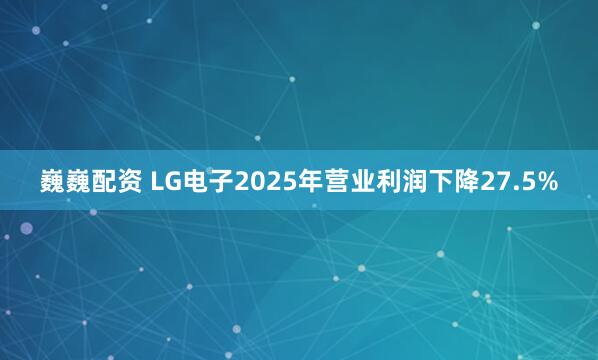 巍巍配资 LG电子2025年营业利润下降27.5%