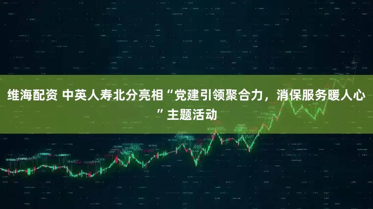 维海配资 中英人寿北分亮相“党建引领聚合力，消保服务暖人心”主题活动