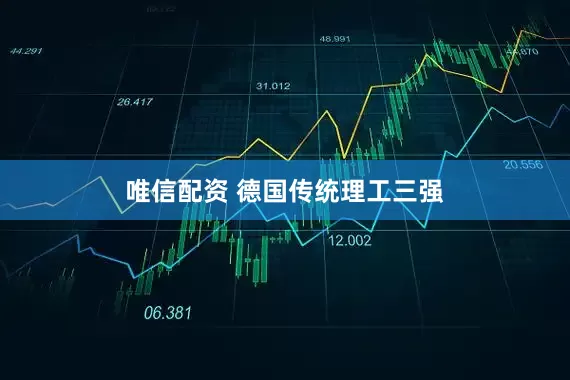 唯信配资 德国传统理工三强